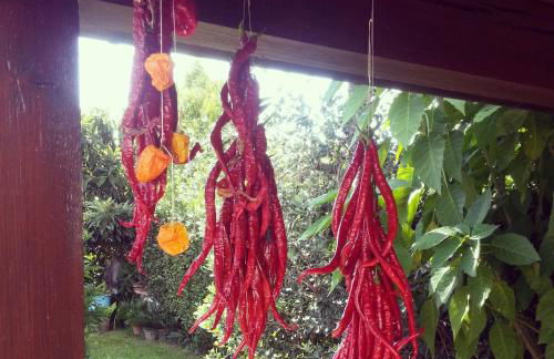 Villa Celeste - Foto 73