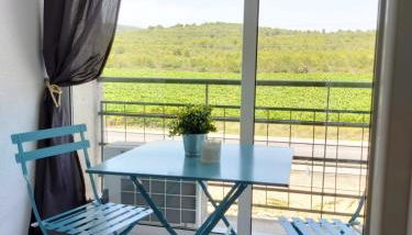 Charming apartment with mountain view in Francàs - 45m² - Photo 1