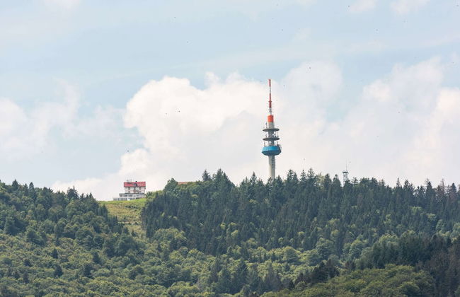 Apartment in Malsburg With Garden - Foto 30