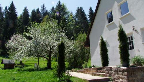 Wonderworld - Foto 2, Garden