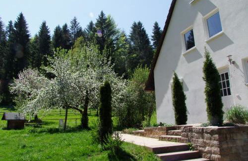 Wonderworld - Foto 2