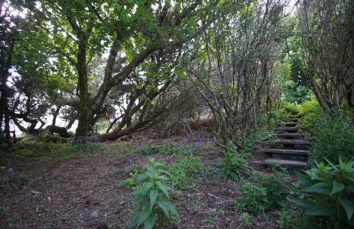 Remuera, North Tolsta - Photo 22