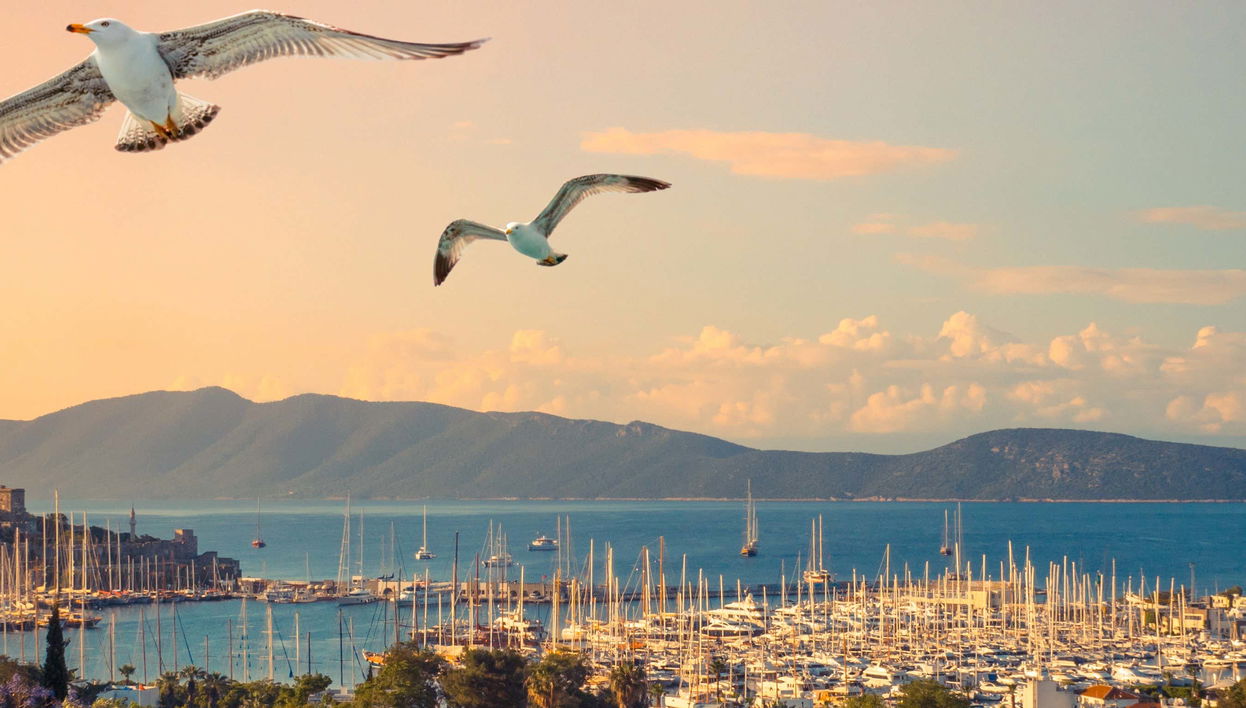 Crucero por la costa de Bodrum