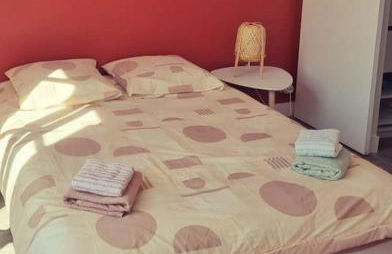 Appartement centre d'Orléans en bord de Loire - Foto 27