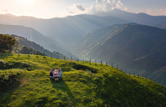Paseo a caballo por los cafetales de Salgar - Foto 6