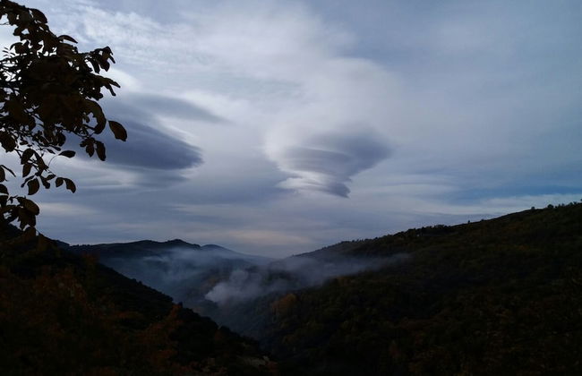 Apartamentos Balcón del Cielo - Foto 44
