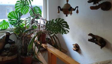 Mitten in der Natur, ganz nah bei Dresden. - Foto 5