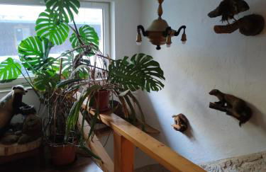 Mitten in der Natur, ganz nah bei Dresden. - Foto 5