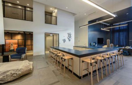 Hyatus Luxury Residences Boston South Bay Designer Collection - Photo 12