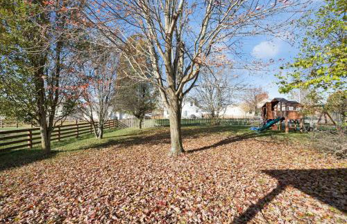 The Little Paradise - Foto 17