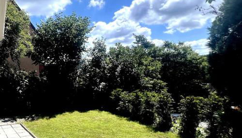 Budahome im Schwarzwald - Foto 5, Garden