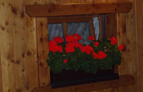 Appartamenti Loretta - Photo 8