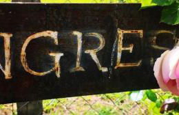 La Collina Degli Ulivi - Foto 34