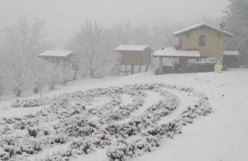 Ecolodge Langhe - Foto 55