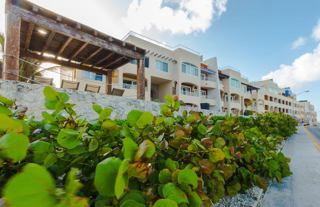 Isla 33 - Studio 2413 - Foto 7