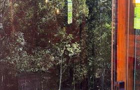 Cabana Refúgio Barn - Foto 10