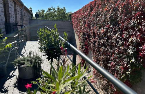 Falkenwohnung - Foto 4