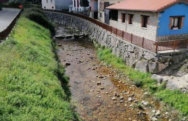 nueva el bosquin - Foto 9