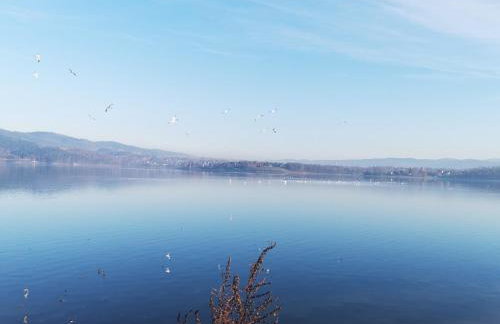 Sielanówek - Orzechowa Chatka z sauną wanną termalną jacuzzi - Foto 52