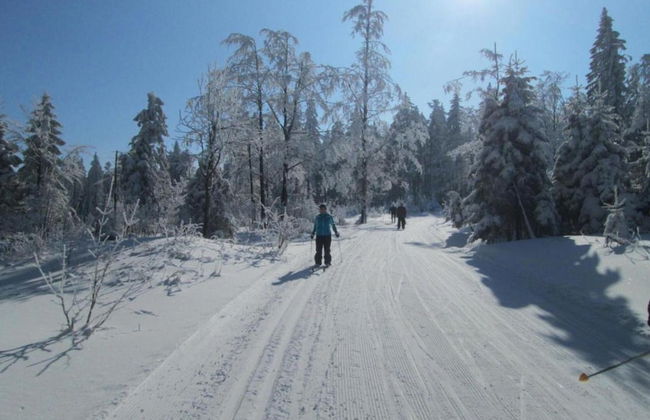Pretty Holiday Home in Schöfweg ot Langfurth near Ski Slope - Foto 27