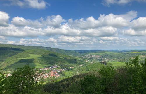 tiny house Pfalz Wellness und Wanderurlaub - Foto 50