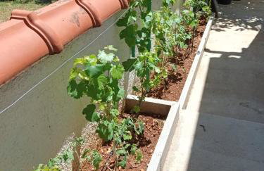 Apartman VTS - Photo 28