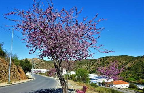 AL Ribeirinho - Foto 38