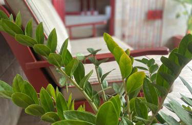 A Casa da Ilha - Foto 75