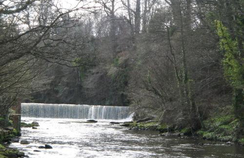 Quay Cottage - Foto 24