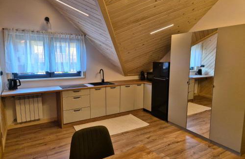 Apartament z prywatną wanną z hydromasażem - U Parów - Foto 49