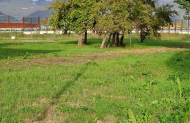 Appartamento Rossana - Luni (SP) - Foto 27