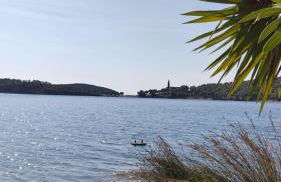 '' I FOLIA '' / ' 'LE NID '' - Foto 39