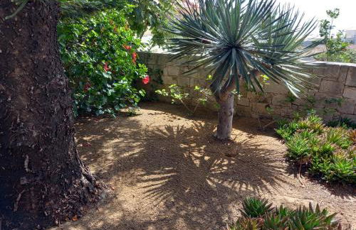 Quintinha das Lombas - Foto 16