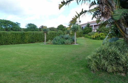 Atlantico Apartments - Photo 50