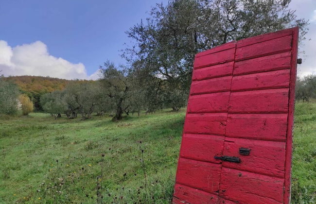 Le Roghete - Foto 32