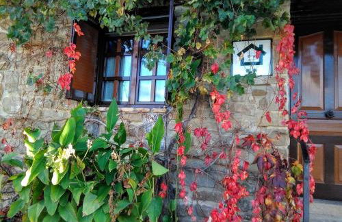 Alojamiento Rural La Cañada - Foto 27