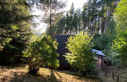 Wald-Chalet Vulkaneifel - Foto 10