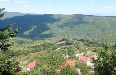 Άγρια Λούλουδα Κατοικία Ευτυχία - Photo 71