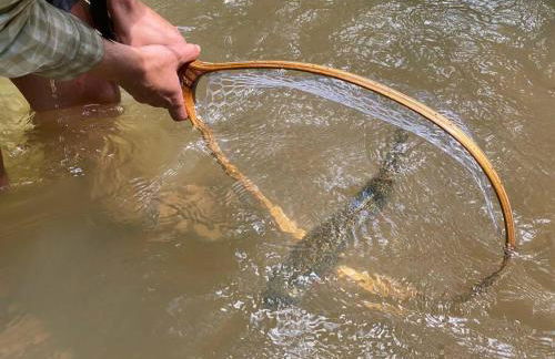 Mystic Creek Retreat (next to Blue Ridge) - Foto 9