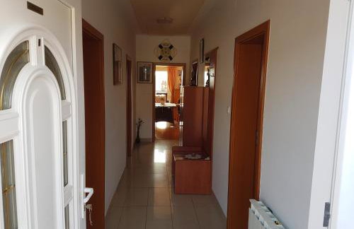 Apartments Stengl - Foto 39