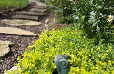 Enchanting Mountain Cottages w Hot Tub & Fireplace - Foto 13