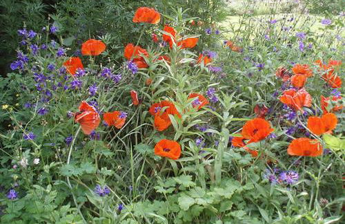 Lower Buckton Country House - Sleeps 12 - Foto 37