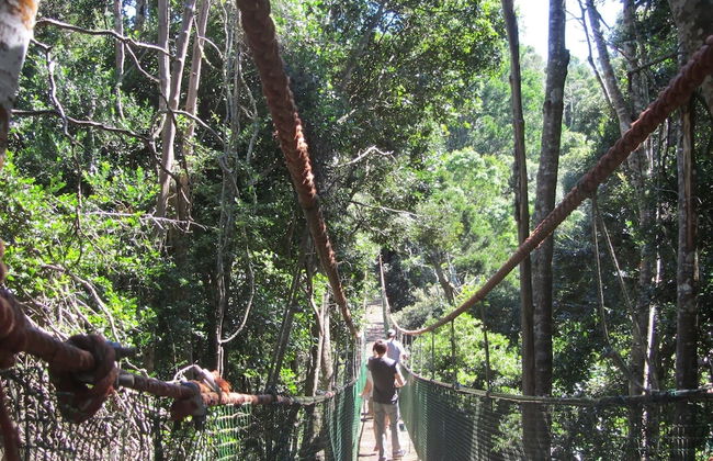 Treehouse Cottage - Foto 21