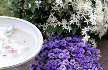 Gem by the water with firepit & all fenced backyard 2 Bedrooms - Photo 27