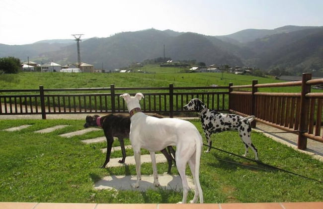 Apartamentos Rurales La Torre - Foto 31