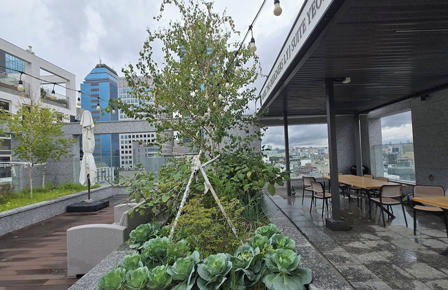 Hotel the Designers LYJ Suite Yeoksam - Foto 48