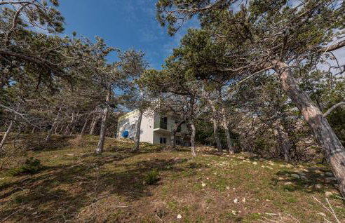 Awesome Apartment In Novalja - Photo 8