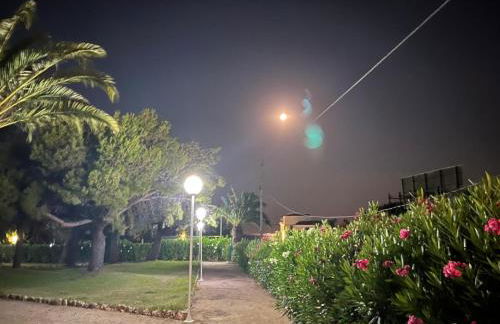 Pis la rapita - Foto 12