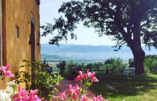 Vigna del Poggio - Foto 36