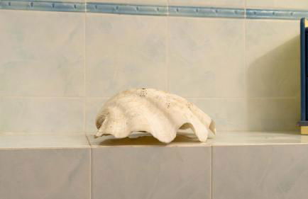 La Casetta del Ponte a due passi dal Mare - Foto 19